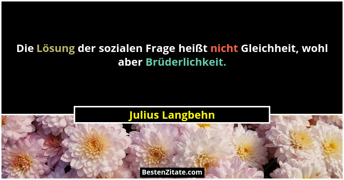 Die Lösung der sozialen Frage heißt nicht Gleichheit, wohl aber Brüderlichkeit.... - Julius Langbehn