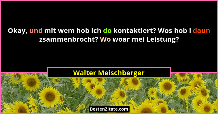Okay, und mit wem hob ich do kontaktiert? Wos hob i daun zsammenbrocht? Wo woar mei Leistung?... - Walter Meischberger