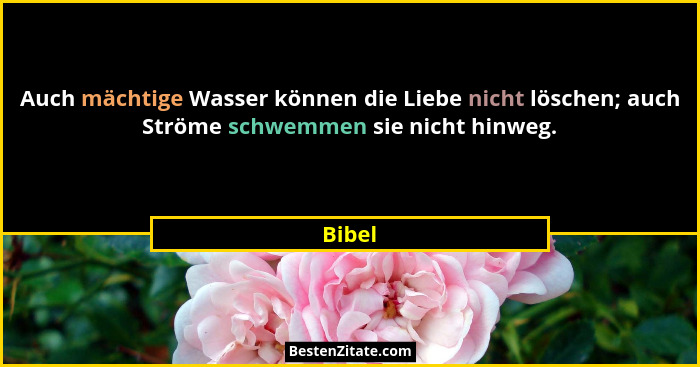 Auch mächtige Wasser können die Liebe nicht löschen; auch Ströme schwemmen sie nicht hinweg.... - Bibel