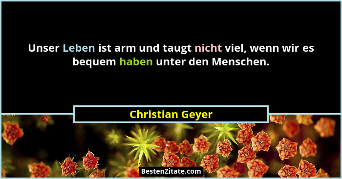 Unser Leben ist arm und taugt nicht viel, wenn wir es bequem haben unter den Menschen.... - Christian Geyer