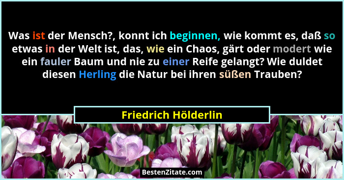 Was ist der Mensch?, konnt ich beginnen, wie kommt es, daß so etwas in der Welt ist, das, wie ein Chaos, gärt oder modert wie ei... - Friedrich Hölderlin