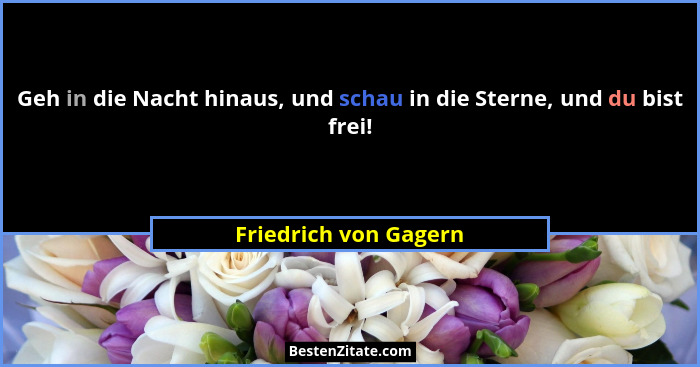 Geh in die Nacht hinaus, und schau in die Sterne, und du bist frei!... - Friedrich von Gagern