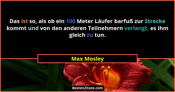 Das ist so, als ob ein 100 Meter Läufer barfuß zur Strecke kommt und von den anderen Teilnehmern verlangt, es ihm gleich zu tun.... - Max Mosley