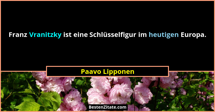 Franz Vranitzky ist eine Schlüsselfigur im heutigen Europa.... - Paavo Lipponen