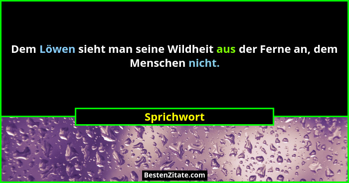 Dem Löwen sieht man seine Wildheit aus der Ferne an, dem Menschen nicht.... - Sprichwort