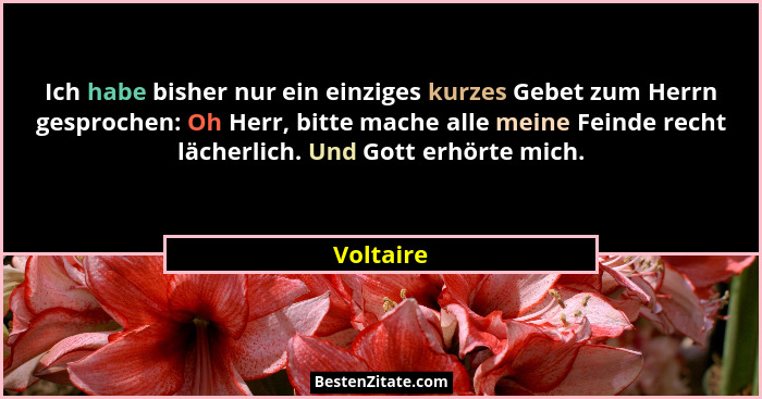 Ich habe bisher nur ein einziges kurzes Gebet zum Herrn gesprochen: Oh Herr, bitte mache alle meine Feinde recht lächerlich. Und Gott erhör... - Voltaire