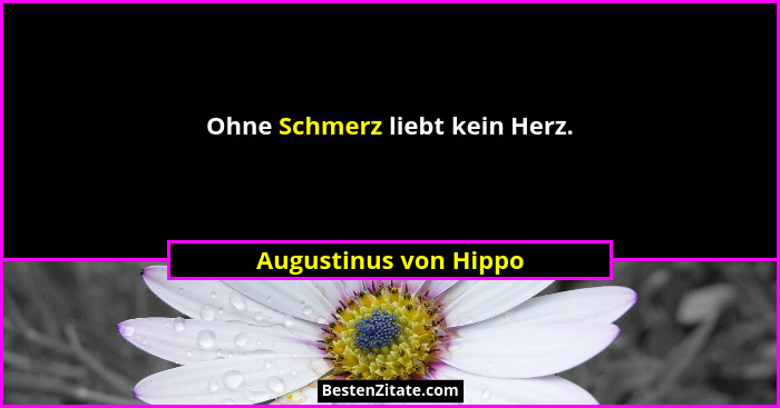 Ohne Schmerz liebt kein Herz.... - Augustinus von Hippo