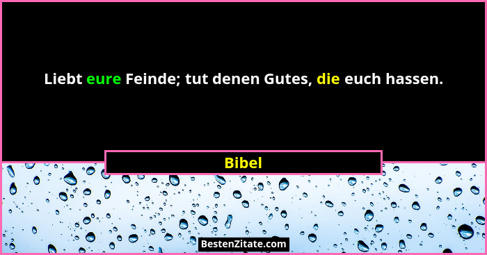 Liebt eure Feinde; tut denen Gutes, die euch hassen.... - Bibel
