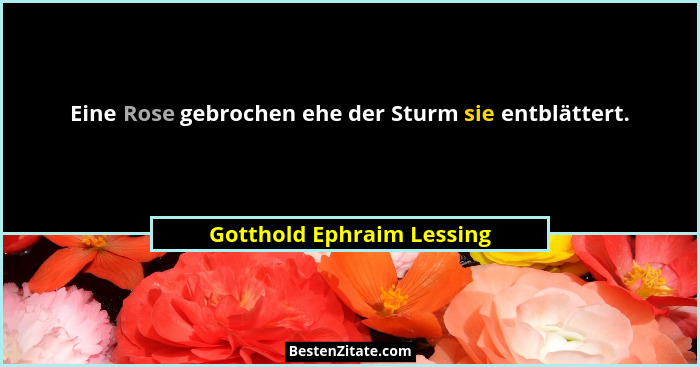Eine Rose gebrochen ehe der Sturm sie entblättert.... - Gotthold Ephraim Lessing
