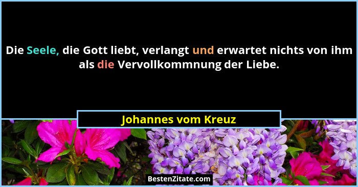 Die Seele, die Gott liebt, verlangt und erwartet nichts von ihm als die Vervollkommnung der Liebe.... - Johannes vom Kreuz