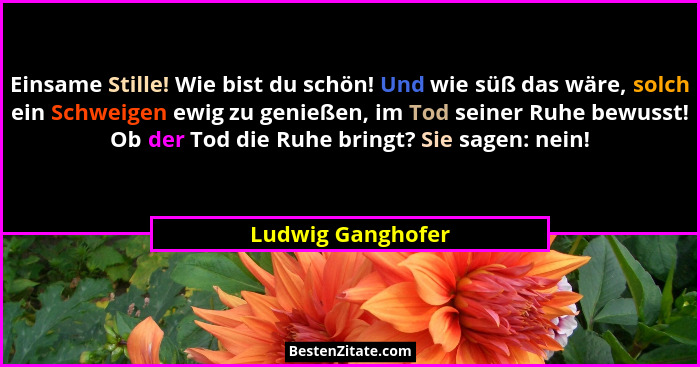 Einsame Stille! Wie bist du schön! Und wie süß das wäre, solch ein Schweigen ewig zu genießen, im Tod seiner Ruhe bewusst! Ob der T... - Ludwig Ganghofer