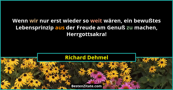Wenn wir nur erst wieder so weit wären, ein bewußtes Lebensprinzip aus der Freude am Genuß zu machen, Herrgottsakra!... - Richard Dehmel