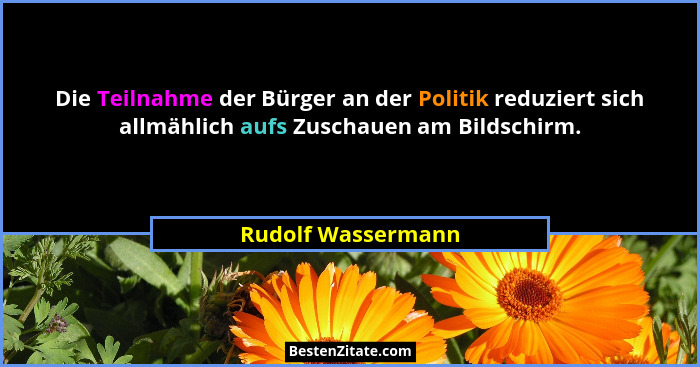 Die Teilnahme der Bürger an der Politik reduziert sich allmählich aufs Zuschauen am Bildschirm.... - Rudolf Wassermann