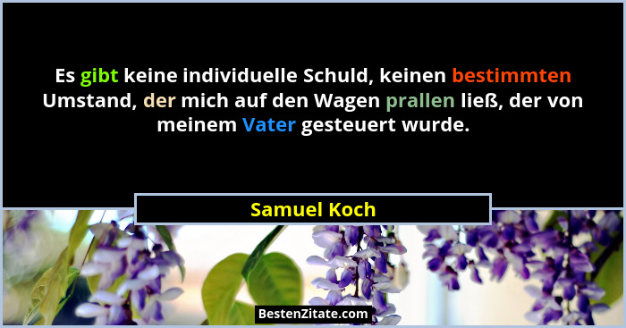 Es gibt keine individuelle Schuld, keinen bestimmten Umstand, der mich auf den Wagen prallen ließ, der von meinem Vater gesteuert wurde.... - Samuel Koch