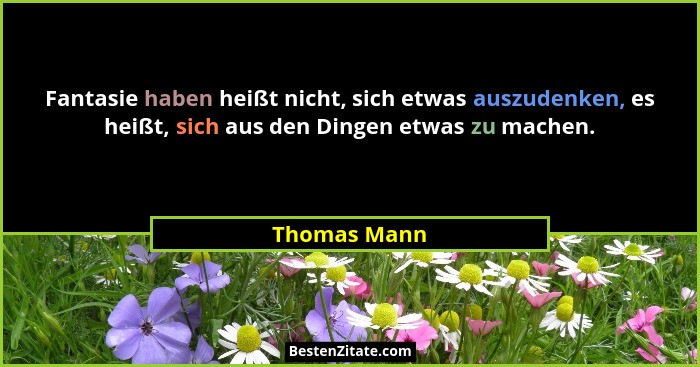 Fantasie haben heißt nicht, sich etwas auszudenken, es heißt, sich aus den Dingen etwas zu machen.... - Thomas Mann