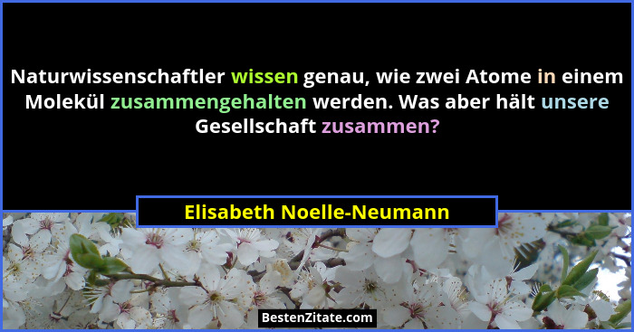 Naturwissenschaftler wissen genau, wie zwei Atome in einem Molekül zusammengehalten werden. Was aber hält unsere Gesellscha... - Elisabeth Noelle-Neumann