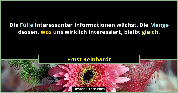 Die Fülle interessanter Informationen wächst. Die Menge dessen, was uns wirklich interessiert, bleibt gleich.... - Ernst Reinhardt