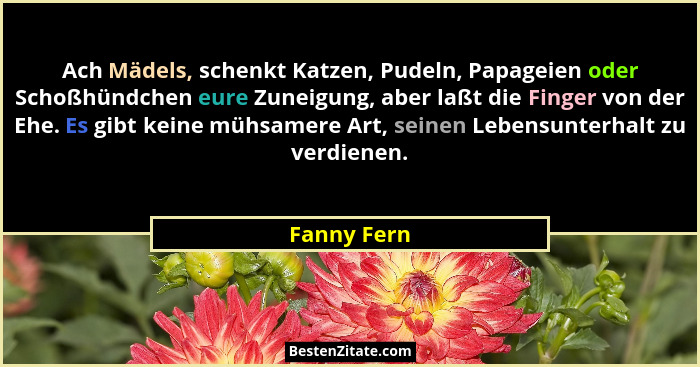 Ach Mädels, schenkt Katzen, Pudeln, Papageien oder Schoßhündchen eure Zuneigung, aber laßt die Finger von der Ehe. Es gibt keine mühsamer... - Fanny Fern