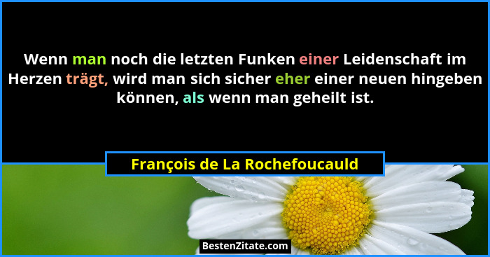 Wenn man noch die letzten Funken einer Leidenschaft im Herzen trägt, wird man sich sicher eher einer neuen hingeben kön... - François de La Rochefoucauld