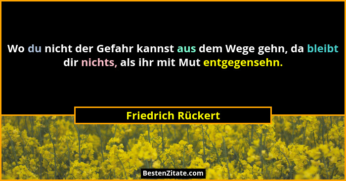 Wo du nicht der Gefahr kannst aus dem Wege gehn, da bleibt dir nichts, als ihr mit Mut entgegensehn.... - Friedrich Rückert