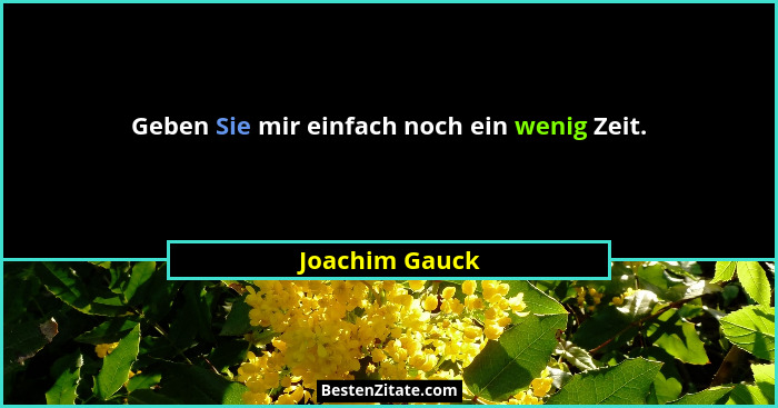 Geben Sie mir einfach noch ein wenig Zeit.... - Joachim Gauck