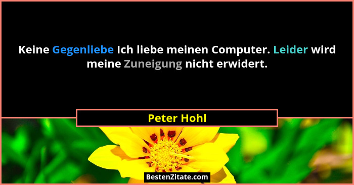 Keine Gegenliebe Ich liebe meinen Computer. Leider wird meine Zuneigung nicht erwidert.... - Peter Hohl