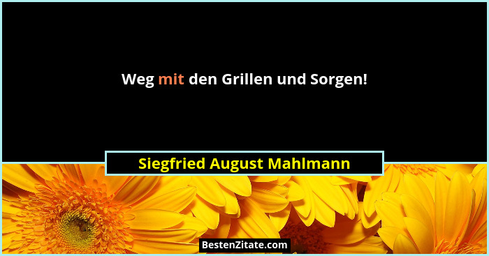 Weg mit den Grillen und Sorgen!... - Siegfried August Mahlmann