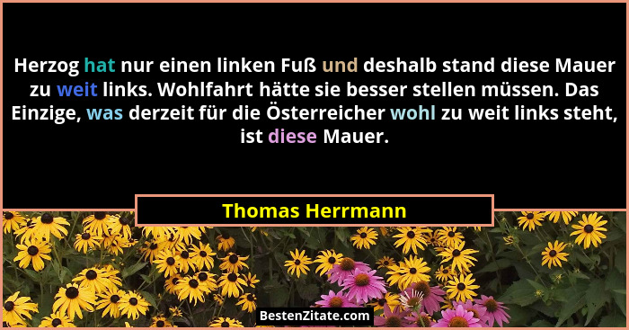 Herzog hat nur einen linken Fuß und deshalb stand diese Mauer zu weit links. Wohlfahrt hätte sie besser stellen müssen. Das Einzige,... - Thomas Herrmann