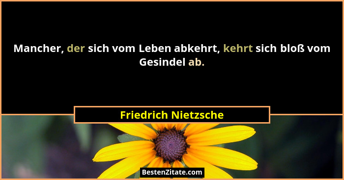 Mancher, der sich vom Leben abkehrt, kehrt sich bloß vom Gesindel ab.... - Friedrich Nietzsche