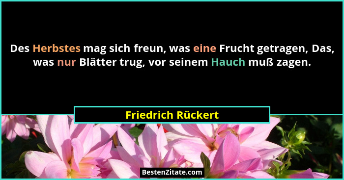 Des Herbstes mag sich freun, was eine Frucht getragen, Das, was nur Blätter trug, vor seinem Hauch muß zagen.... - Friedrich Rückert