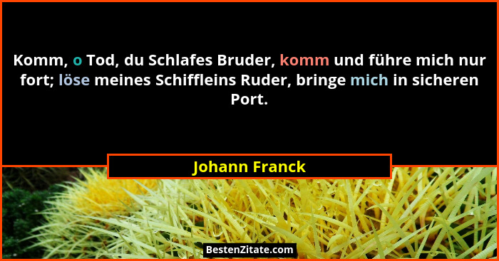 Komm, o Tod, du Schlafes Bruder, komm und führe mich nur fort; löse meines Schiffleins Ruder, bringe mich in sicheren Port.... - Johann Franck
