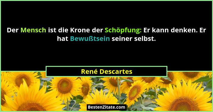 Der Mensch ist die Krone der Schöpfung: Er kann denken. Er hat Bewußtsein seiner selbst.... - René Descartes