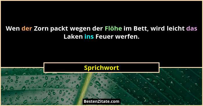 Wen der Zorn packt wegen der Flöhe im Bett, wird leicht das Laken ins Feuer werfen.... - Sprichwort