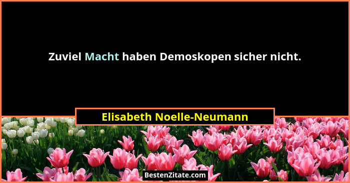 Zuviel Macht haben Demoskopen sicher nicht.... - Elisabeth Noelle-Neumann