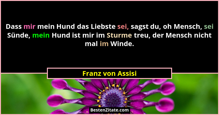 Dass mir mein Hund das Liebste sei, sagst du, oh Mensch, sei Sünde, mein Hund ist mir im Sturme treu, der Mensch nicht mal im Winde... - Franz von Assisi