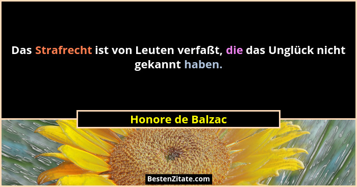 Das Strafrecht ist von Leuten verfaßt, die das Unglück nicht gekannt haben.... - Honore de Balzac