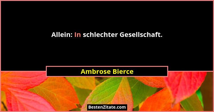 Allein: In schlechter Gesellschaft.... - Ambrose Bierce