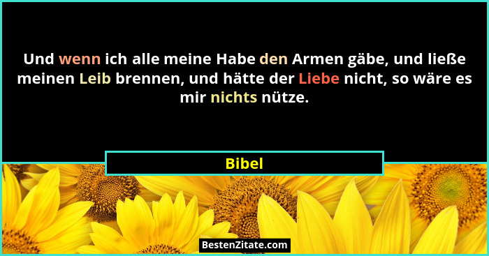 Und wenn ich alle meine Habe den Armen gäbe, und ließe meinen Leib brennen, und hätte der Liebe nicht, so wäre es mir nichts nütze.... - Bibel