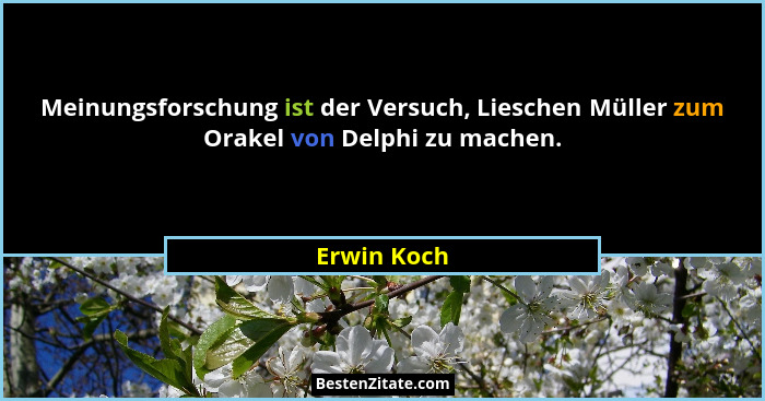 Meinungsforschung ist der Versuch, Lieschen Müller zum Orakel von Delphi zu machen.... - Erwin Koch