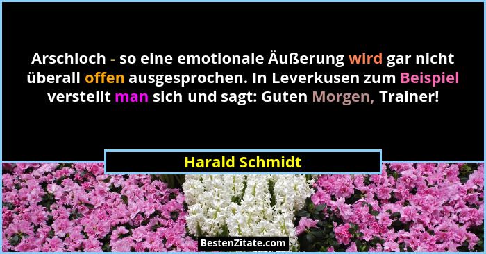 Arschloch - so eine emotionale Äußerung wird gar nicht überall offen ausgesprochen. In Leverkusen zum Beispiel verstellt man sich und... - Harald Schmidt