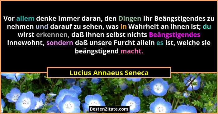 Vor allem denke immer daran, den Dingen ihr Beängstigendes zu nehmen und darauf zu sehen, was in Wahrheit an ihnen ist; du wir... - Lucius Annaeus Seneca