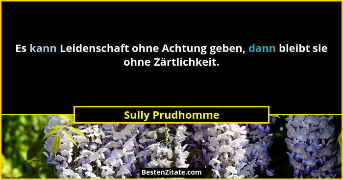 Es kann Leidenschaft ohne Achtung geben, dann bleibt sie ohne Zärtlichkeit.... - Sully Prudhomme
