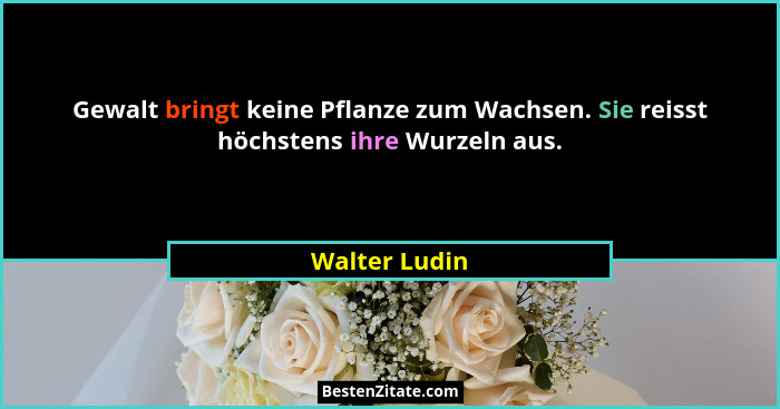 Gewalt bringt keine Pflanze zum Wachsen. Sie reisst höchstens ihre Wurzeln aus.... - Walter Ludin
