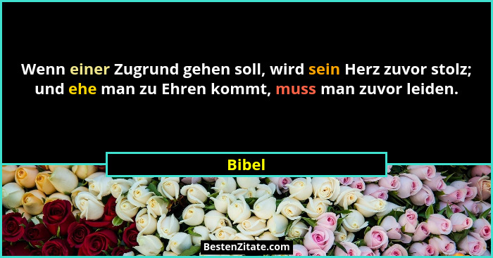 Wenn einer Zugrund gehen soll, wird sein Herz zuvor stolz; und ehe man zu Ehren kommt, muss man zuvor leiden.... - Bibel