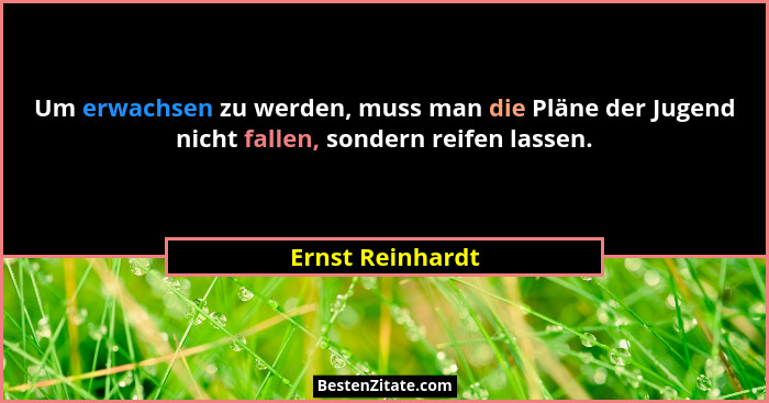 Um erwachsen zu werden, muss man die Pläne der Jugend nicht fallen, sondern reifen lassen.... - Ernst Reinhardt