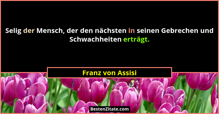 Selig der Mensch, der den nächsten in seinen Gebrechen und Schwachheiten erträgt.... - Franz von Assisi