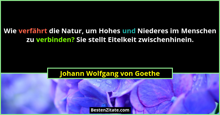Wie verfährt die Natur, um Hohes und Niederes im Menschen zu verbinden? Sie stellt Eitelkeit zwischenhinein.... - Johann Wolfgang von Goethe
