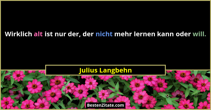 Wirklich alt ist nur der, der nicht mehr lernen kann oder will.... - Julius Langbehn