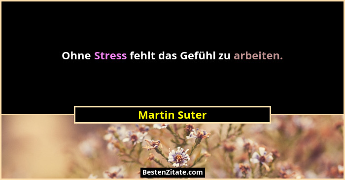 Ohne Stress fehlt das Gefühl zu arbeiten.... - Martin Suter