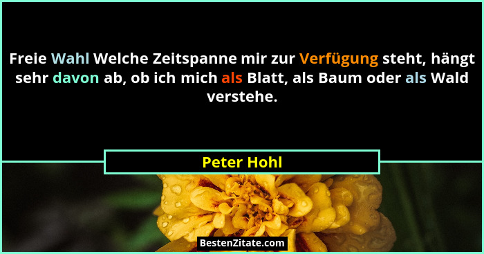 Freie Wahl Welche Zeitspanne mir zur Verfügung steht, hängt sehr davon ab, ob ich mich als Blatt, als Baum oder als Wald verstehe.... - Peter Hohl